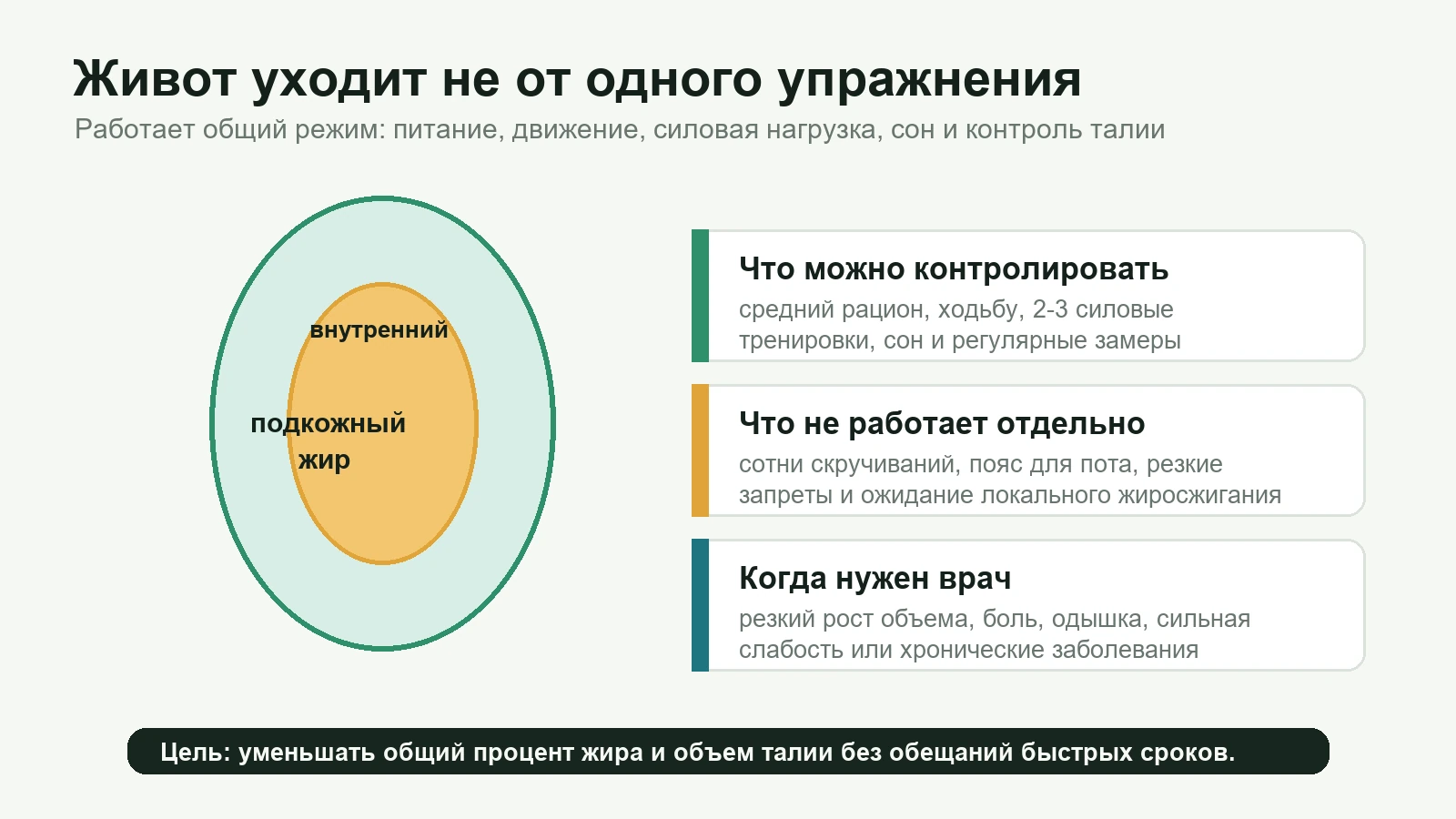 Схема: почему живот уходит от общего режима, а не от одного упражнения