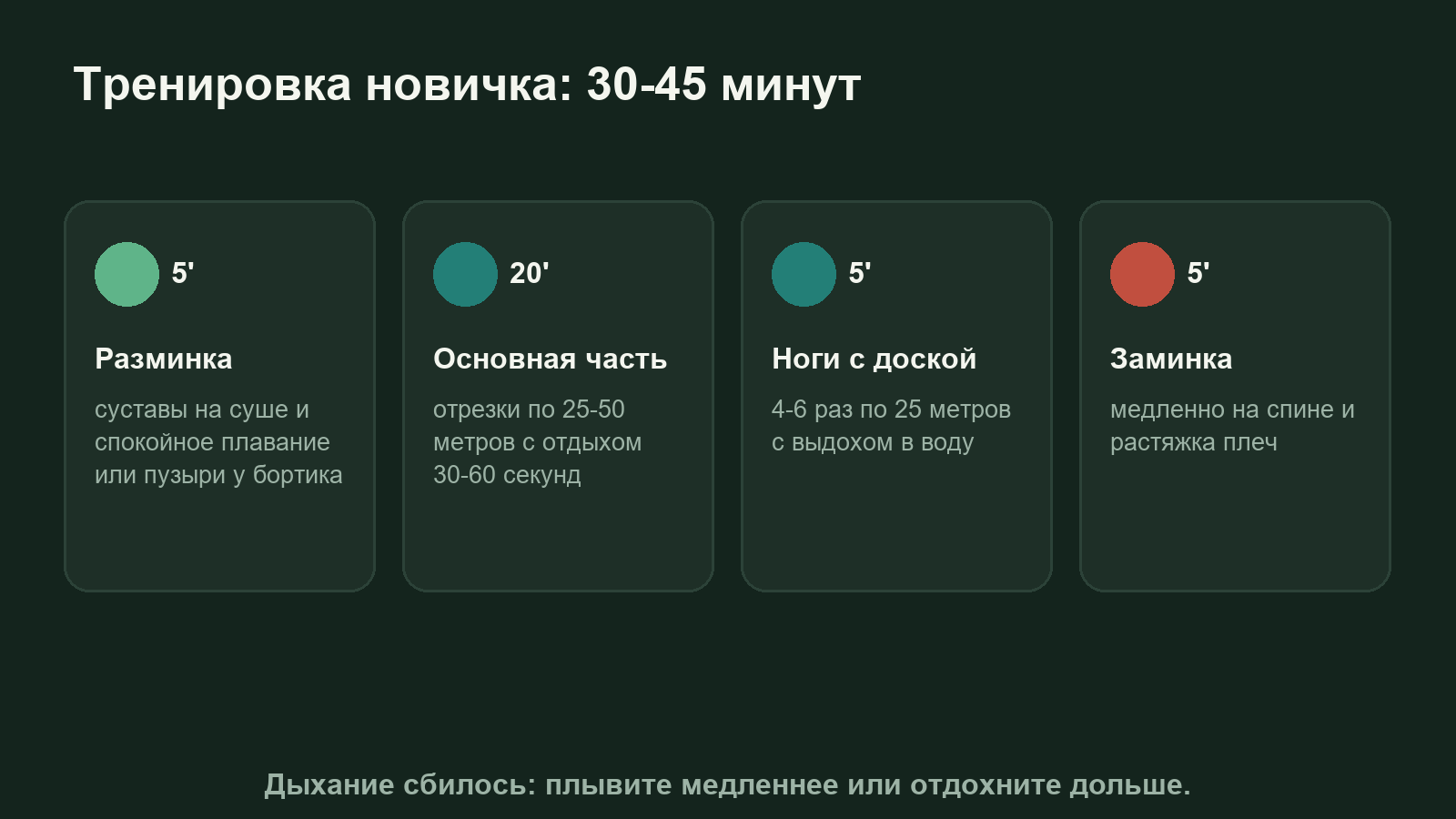 Схема: из чего состоит тренировка по плаванию для начинающих, от разминки до заминки