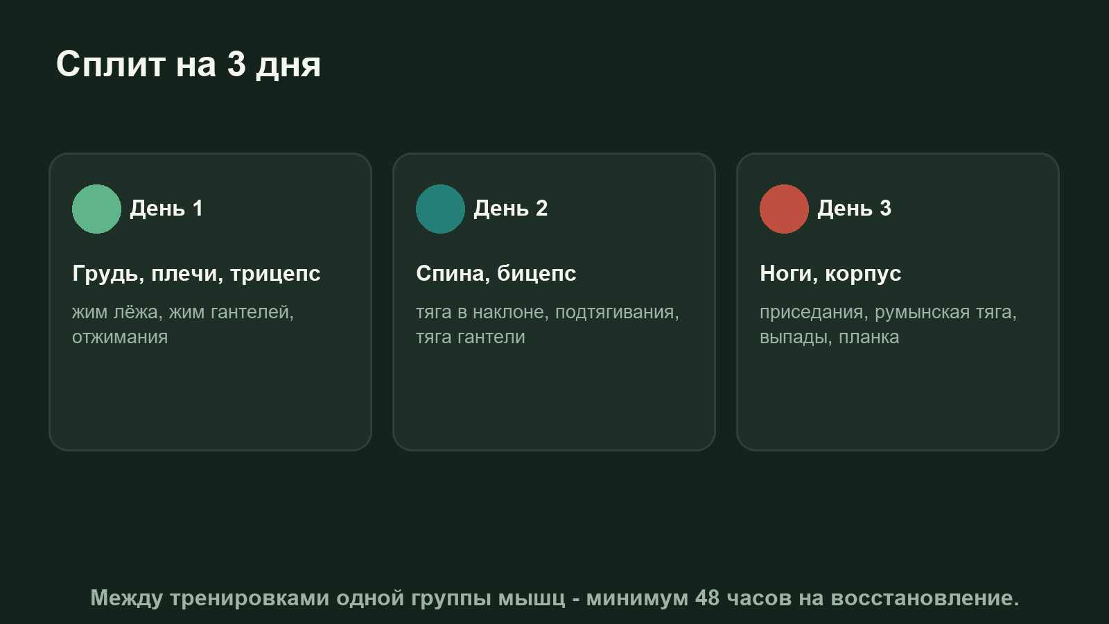 Сплит на 3 дня: грудь и плечи, спина и бицепс, ноги и корпус