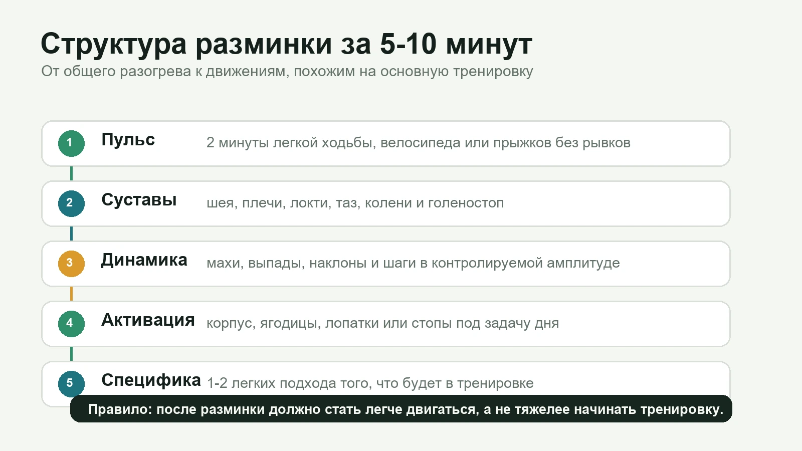 Схема этапов разминки перед тренировкой: пульс, суставы, динамика, активация и специфические движения