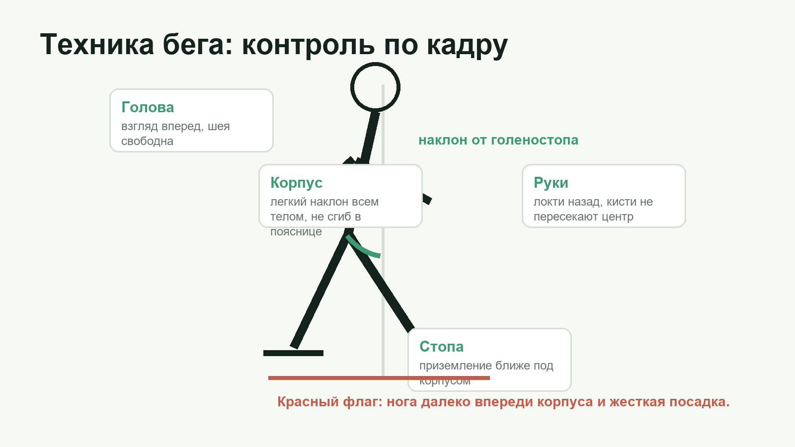 Схема техники бега: положение головы, корпуса, рук и стопы