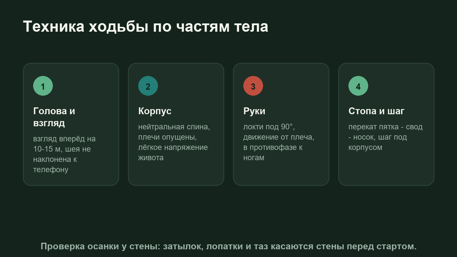 Техника ходьбы по частям тела: голова, корпус, руки, стопа