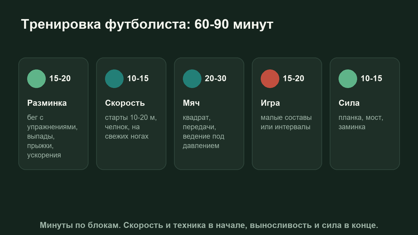 Схема: структура тренировки футболиста от разминки до заминки