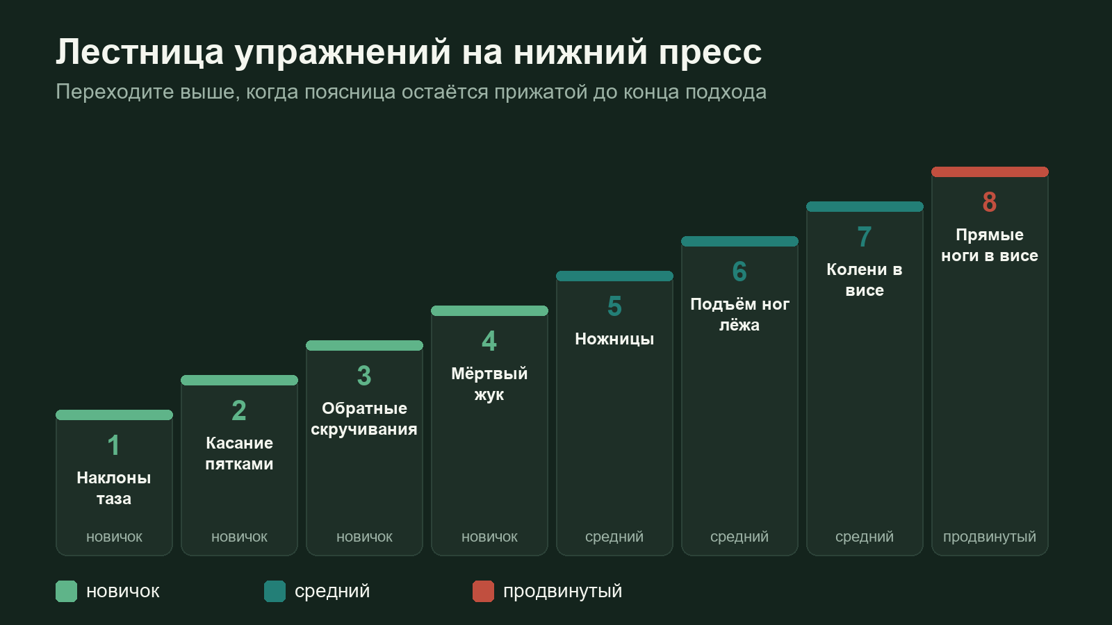Схема: лестница упражнений на нижний пресс от наклонов таза до подъёма ног в висе