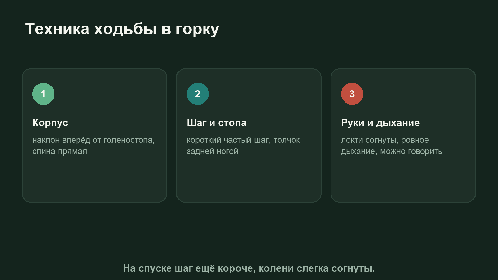Схема техники ходьбы в горку: наклон корпуса от голеностопа, короткий шаг, работа рук и толчок задней ногой