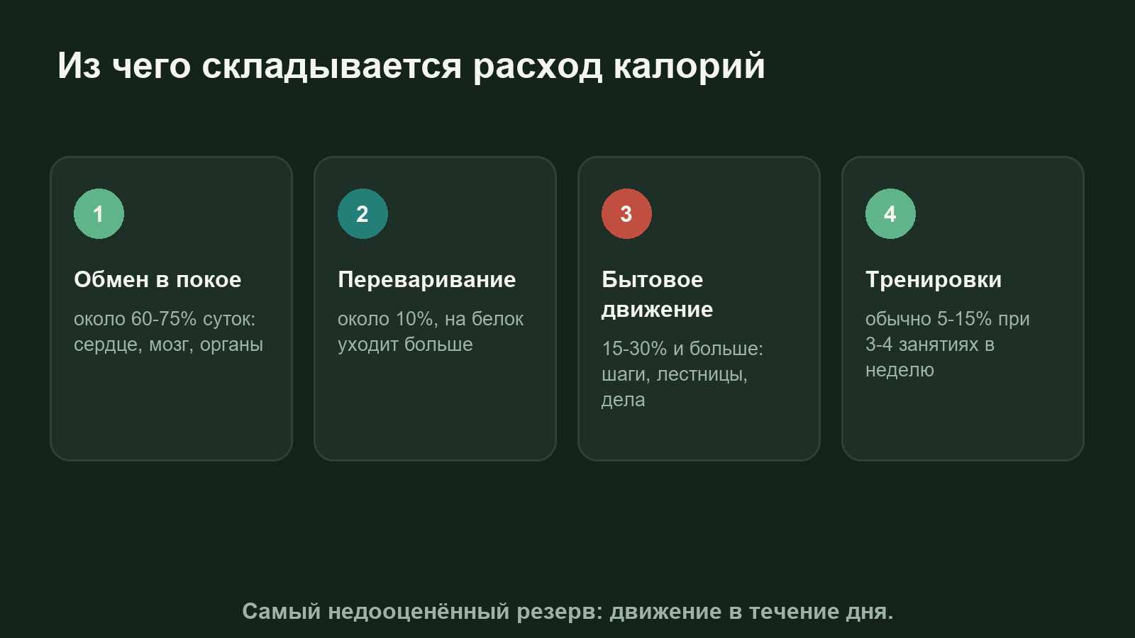 Схема дневного расхода калорий: обмен веществ в покое, переваривание еды, бытовое движение и тренировки