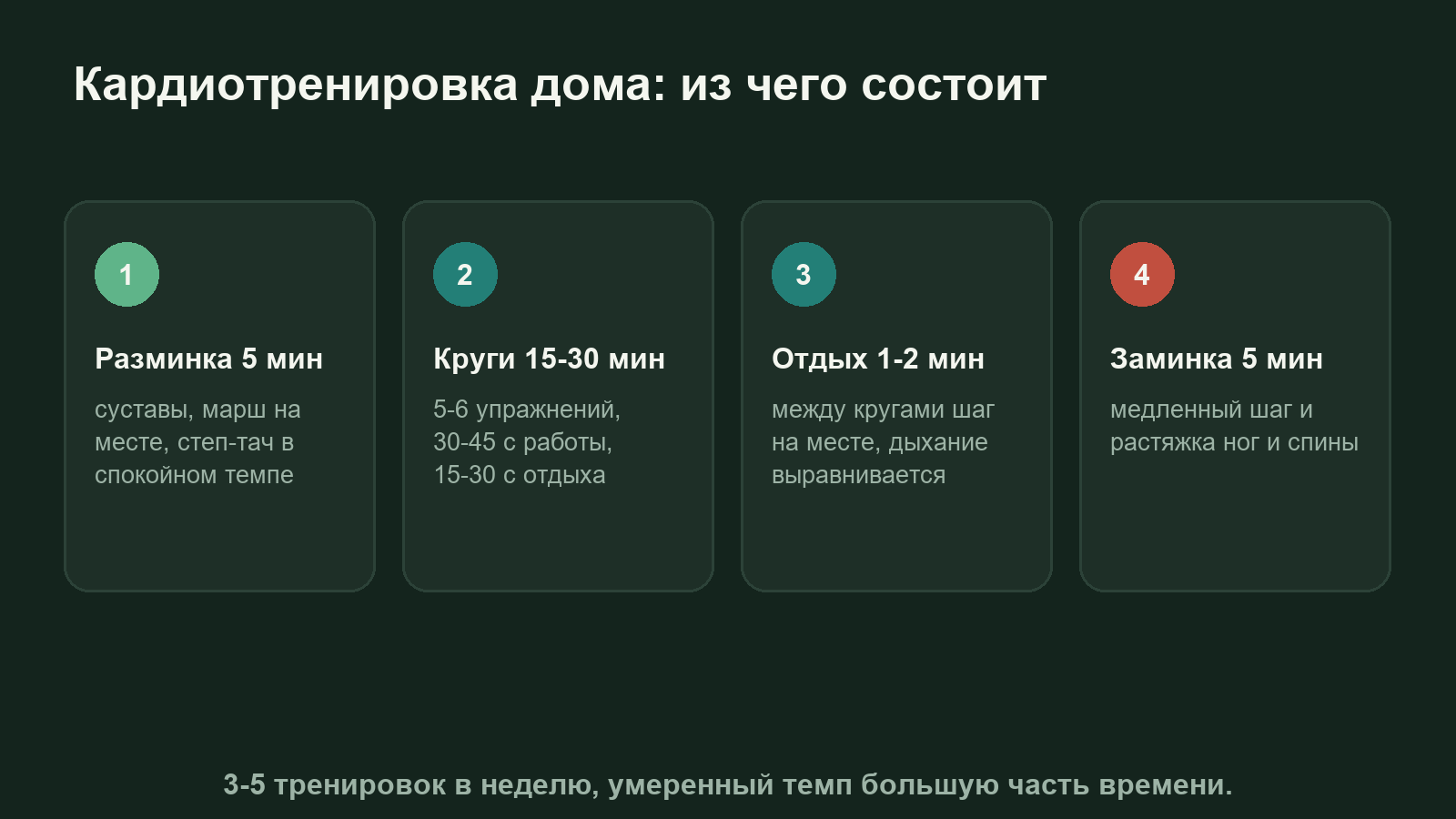 Схема: структура домашней кардиотренировки, разминка, круги по таймеру и заминка
