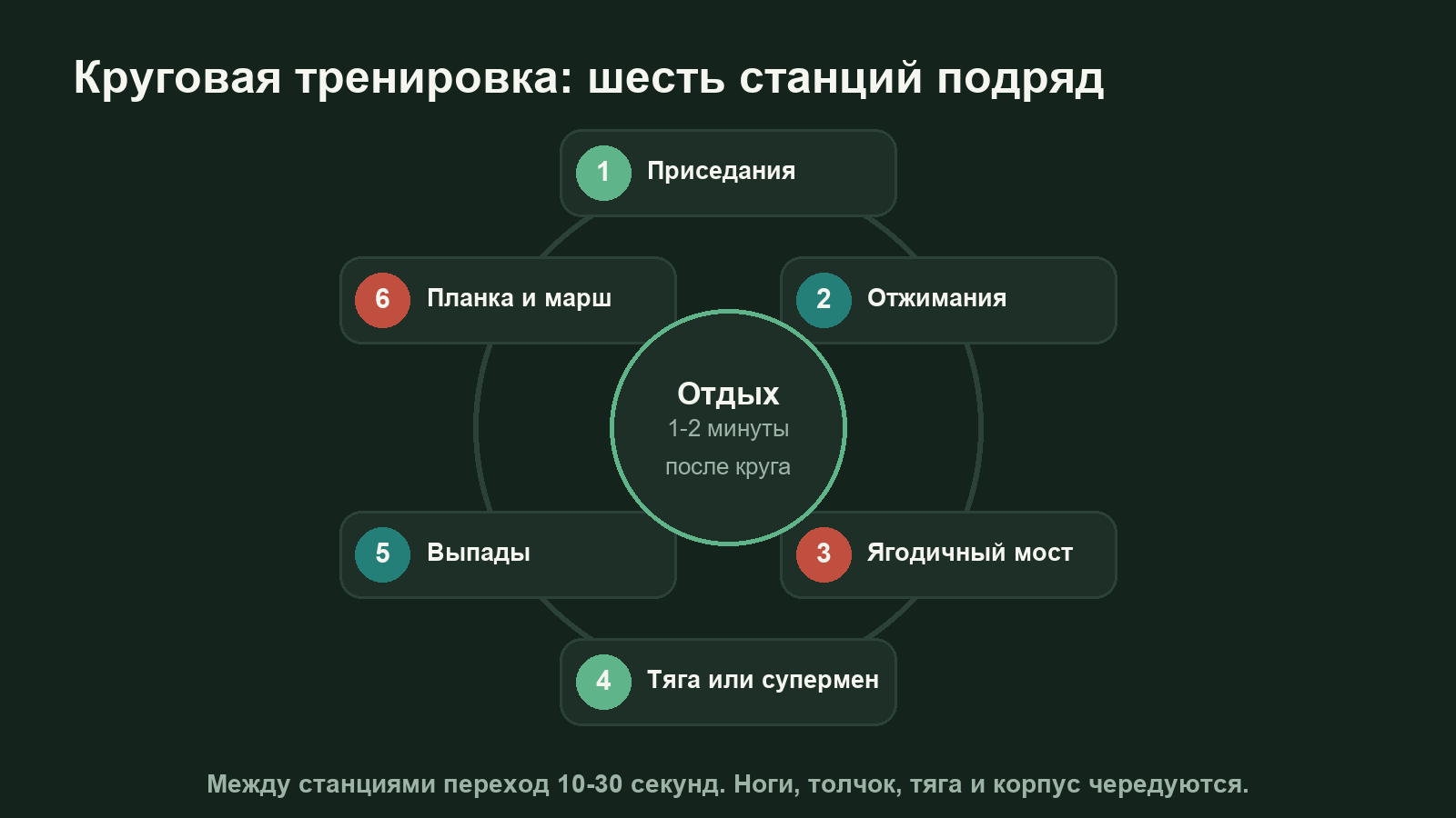 Схема круговой тренировки дома: шесть станций по кольцу, от приседаний до кардио, и отдых после круга