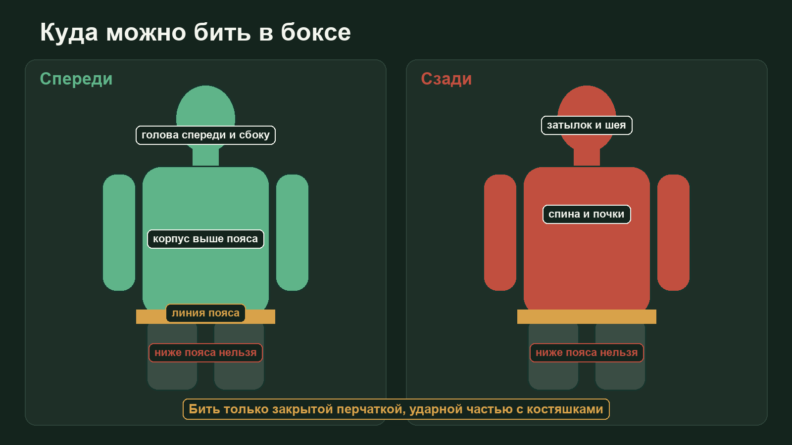 Схема разрешённой зоны ударов в боксе: голова и корпус спереди выше пояса, запрещённые затылок, спина, почки и всё ниже пояса