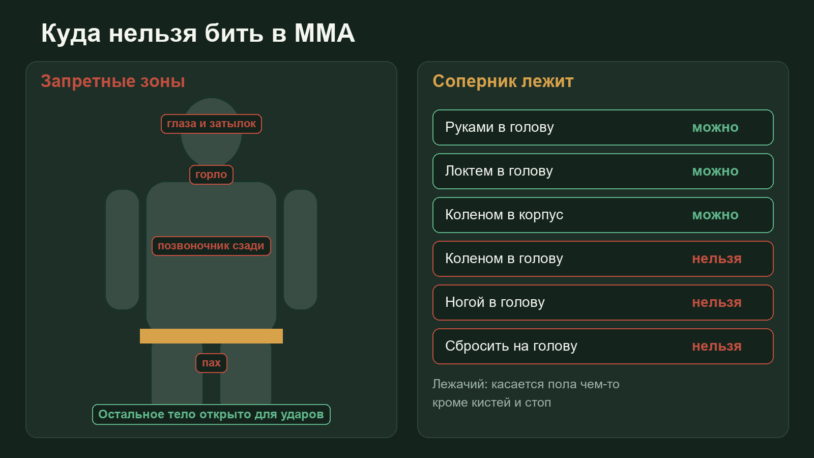 Схема запрещённых зон в ММА: затылок, позвоночник, горло, пах и глаза, а также запрет ударов ногой и коленом в голову лежащего бойца
