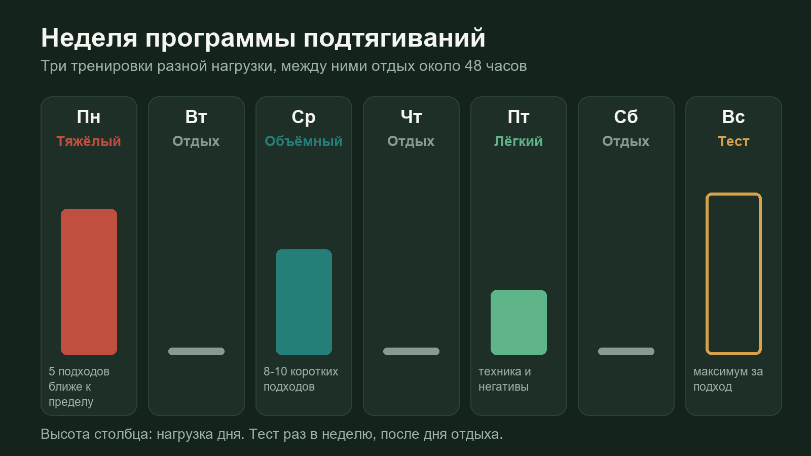 Схема недели подтягиваний: тяжёлый, объёмный и лёгкий день, отдых между тренировками и еженедельный тест