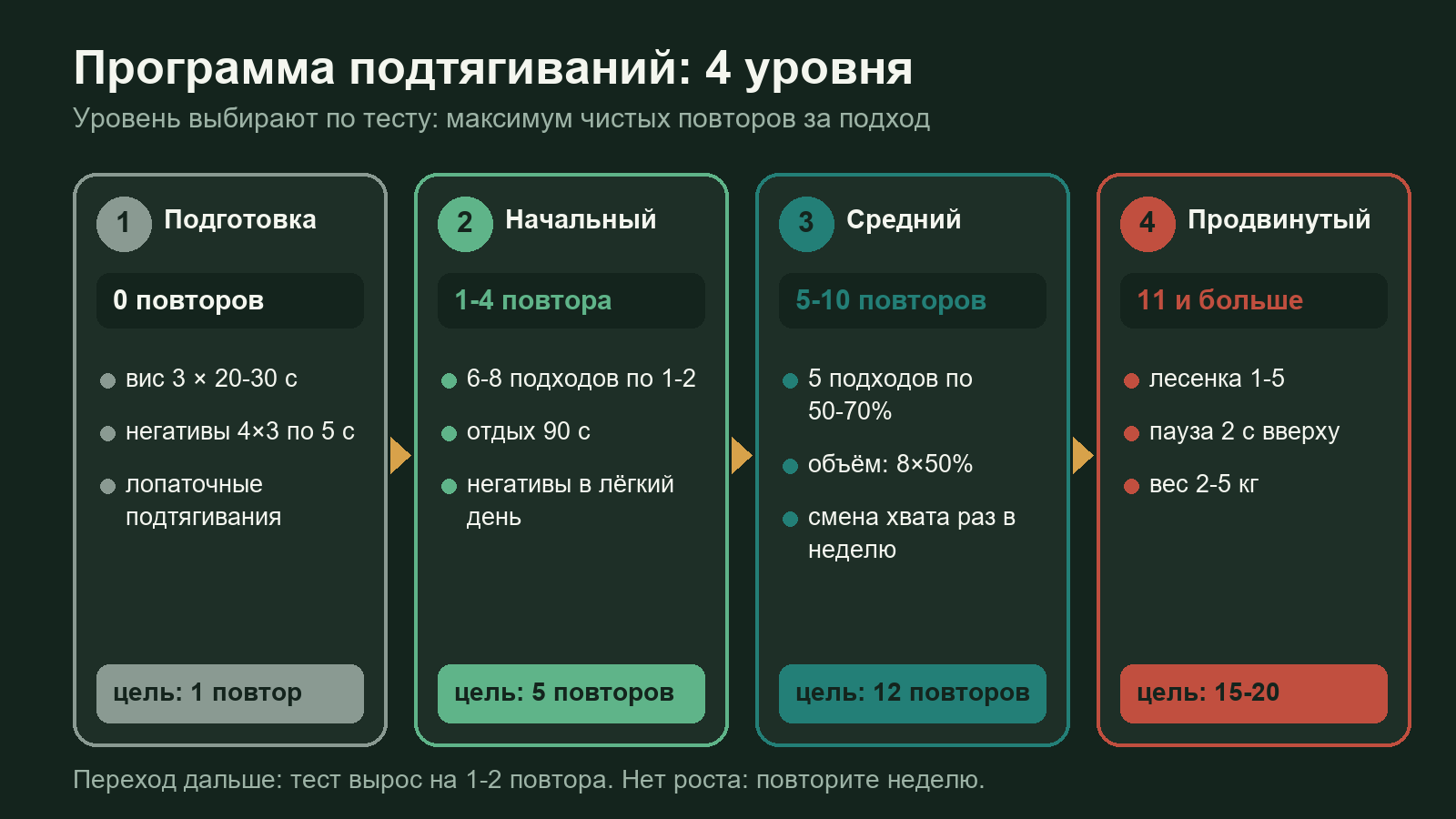 Схема программы подтягиваний: четыре уровня по результату теста, от подготовки с висом и негативами до продвинутого уровня с лесенкой и весом