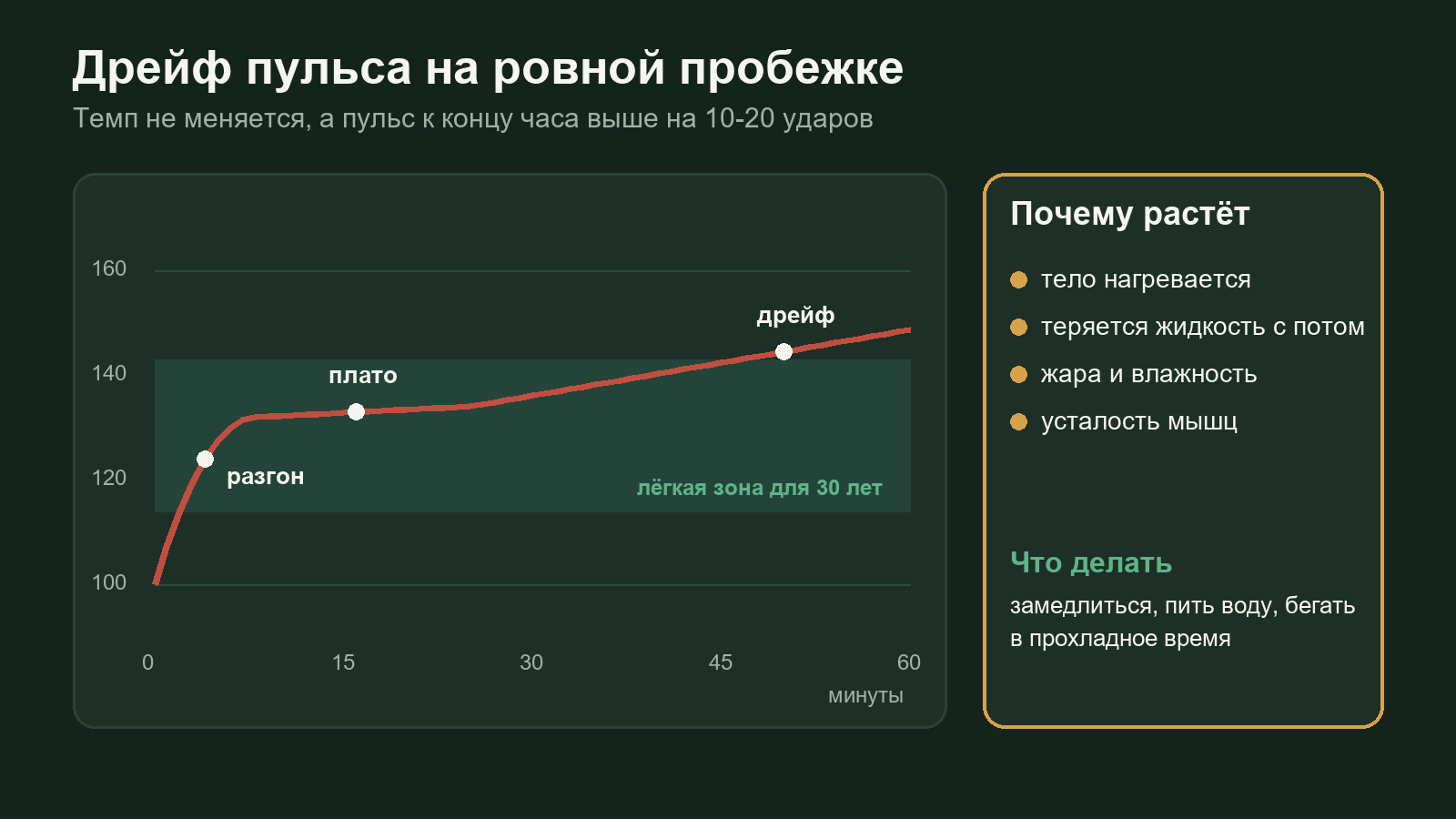 График дрейфа пульса за 60 минут ровного бега: разгон в начале, плато и постепенный рост к концу, причины дрейфа