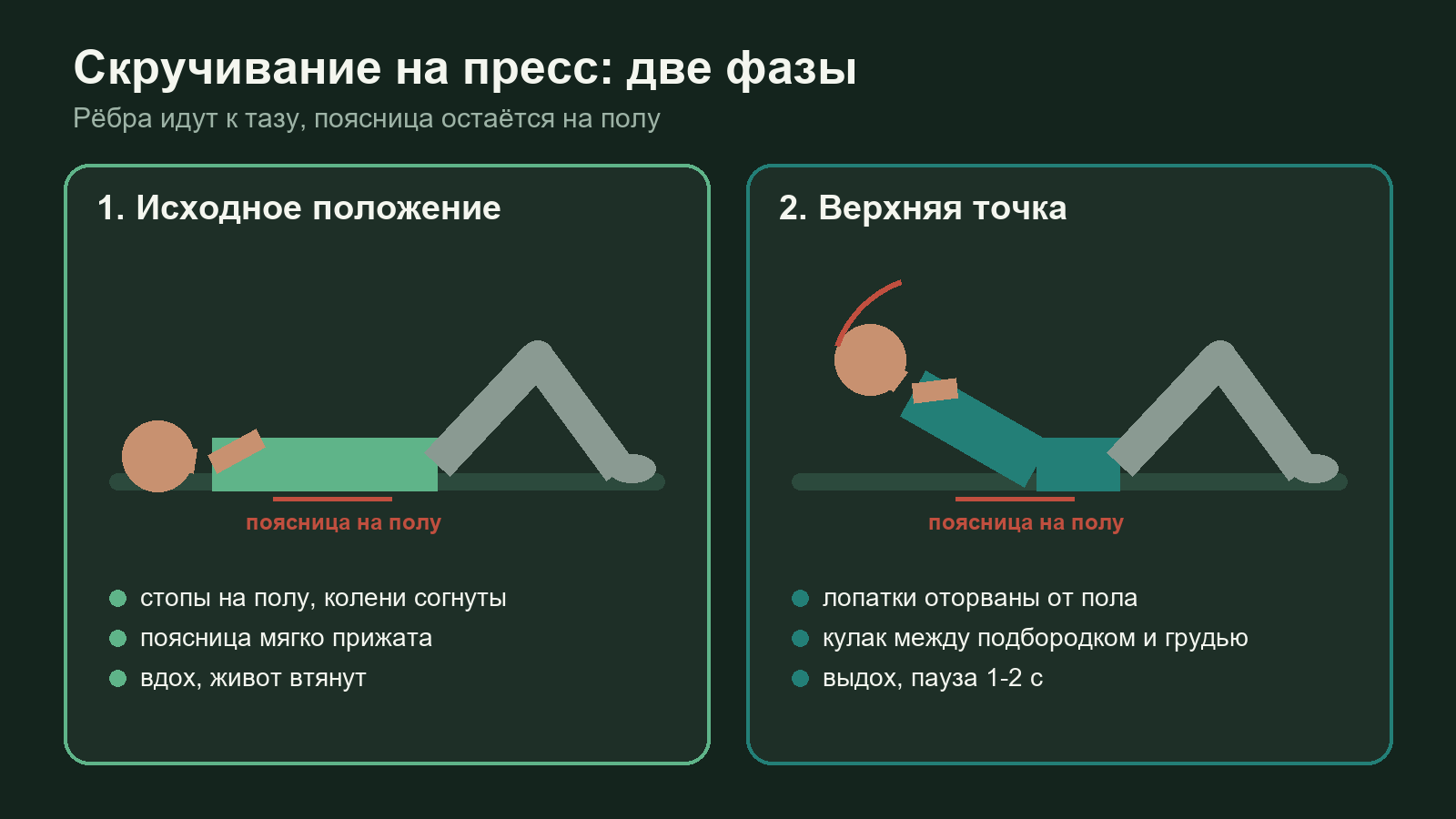 Схема фаз скручивания на пресс: исходное положение лёжа, верхняя точка с поднятыми лопатками, прижатая поясница и расслабленная шея