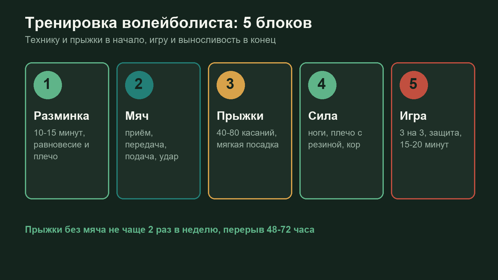 Схема: пять блоков тренировки волейболиста и время на каждый