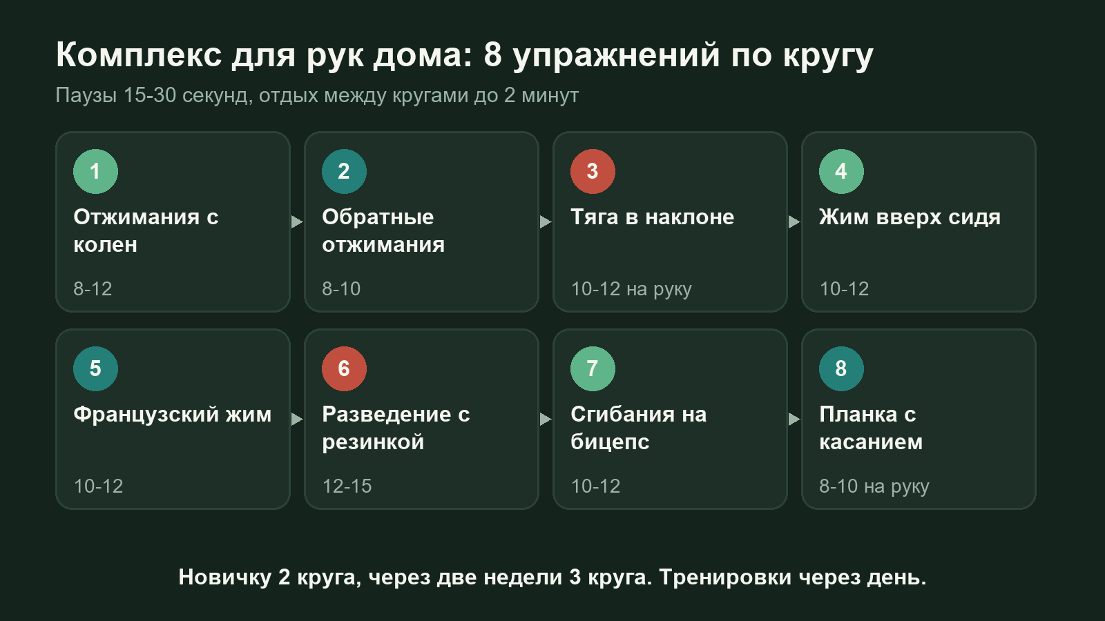 Схема: круговой комплекс из восьми упражнений для похудения рук дома
