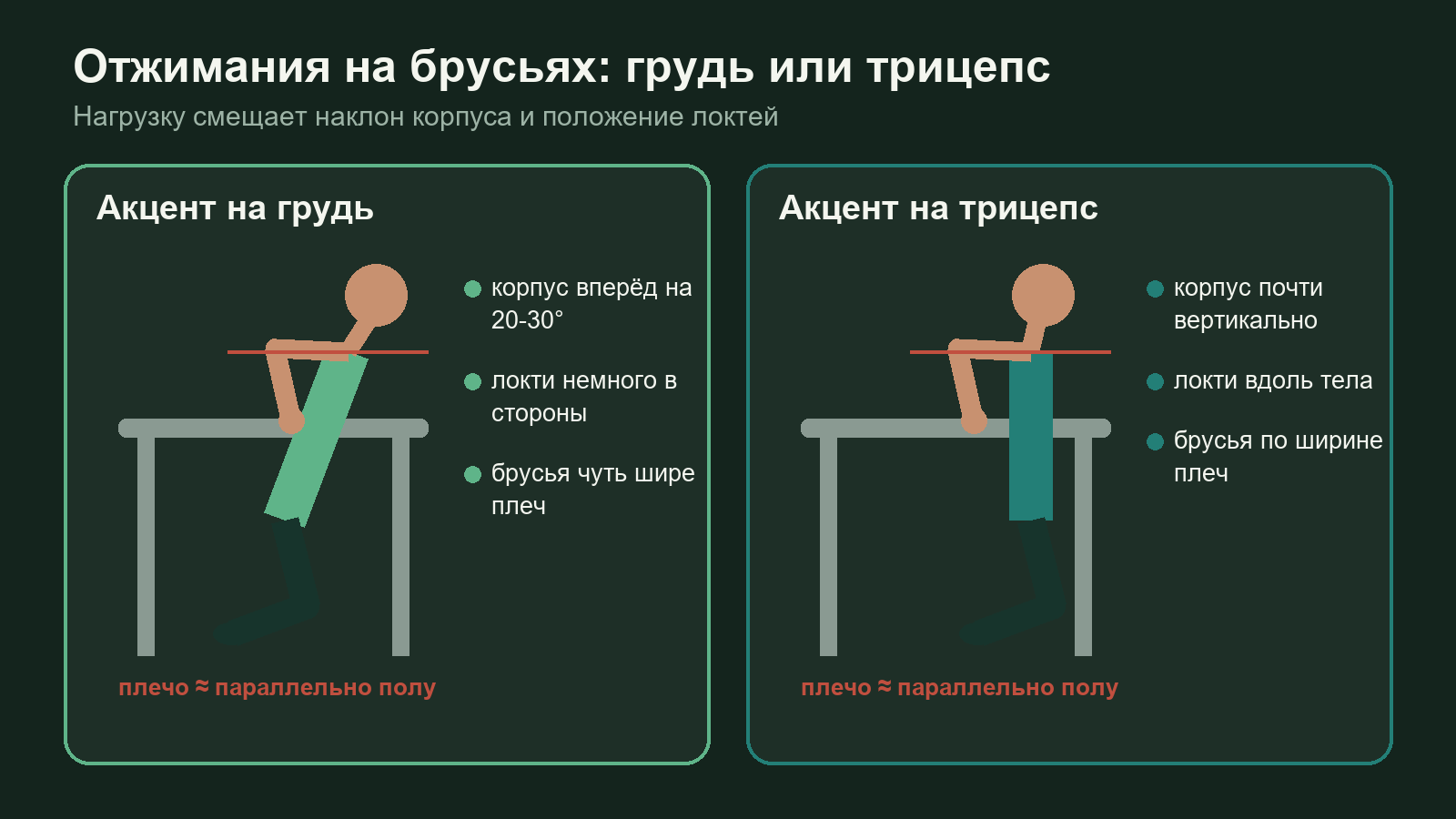 Схема отжиманий на брусьях: наклон корпуса вперёд для груди и вертикальный корпус для трицепса, безопасная глубина опускания