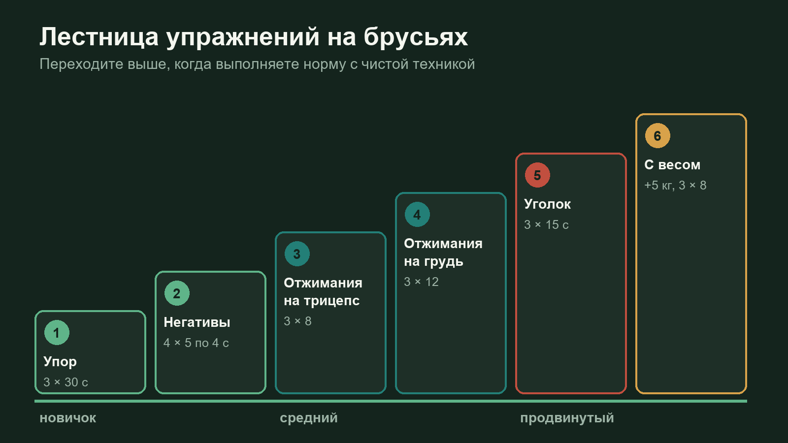 Схема уровней тренировки на брусьях: упор, медленное опускание, отжимания на трицепс и грудь, уголок и отжимания с весом