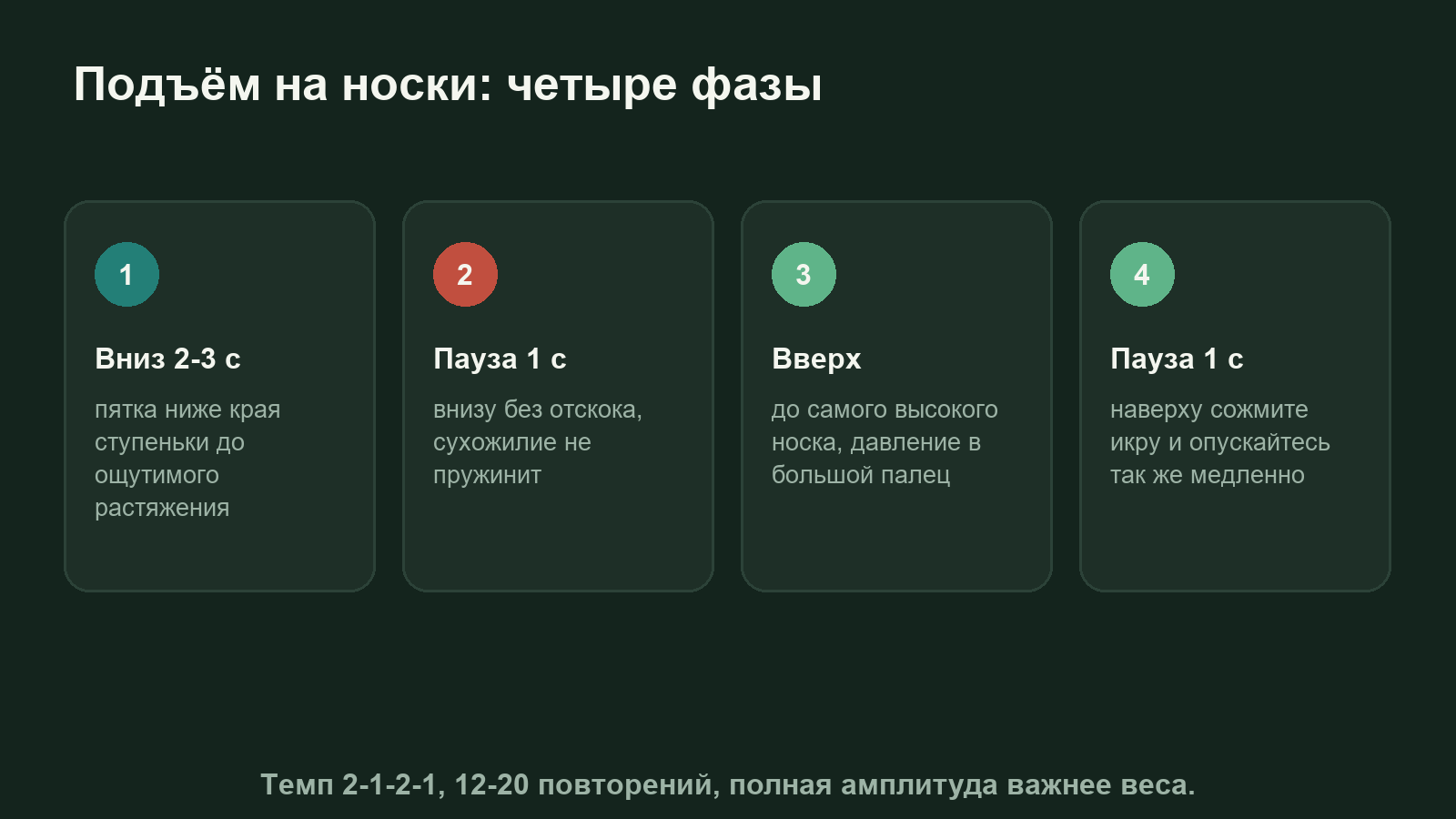 Схема: фазы подъёма на носки, растяжение внизу, пауза, подъём вверх и медленное опускание