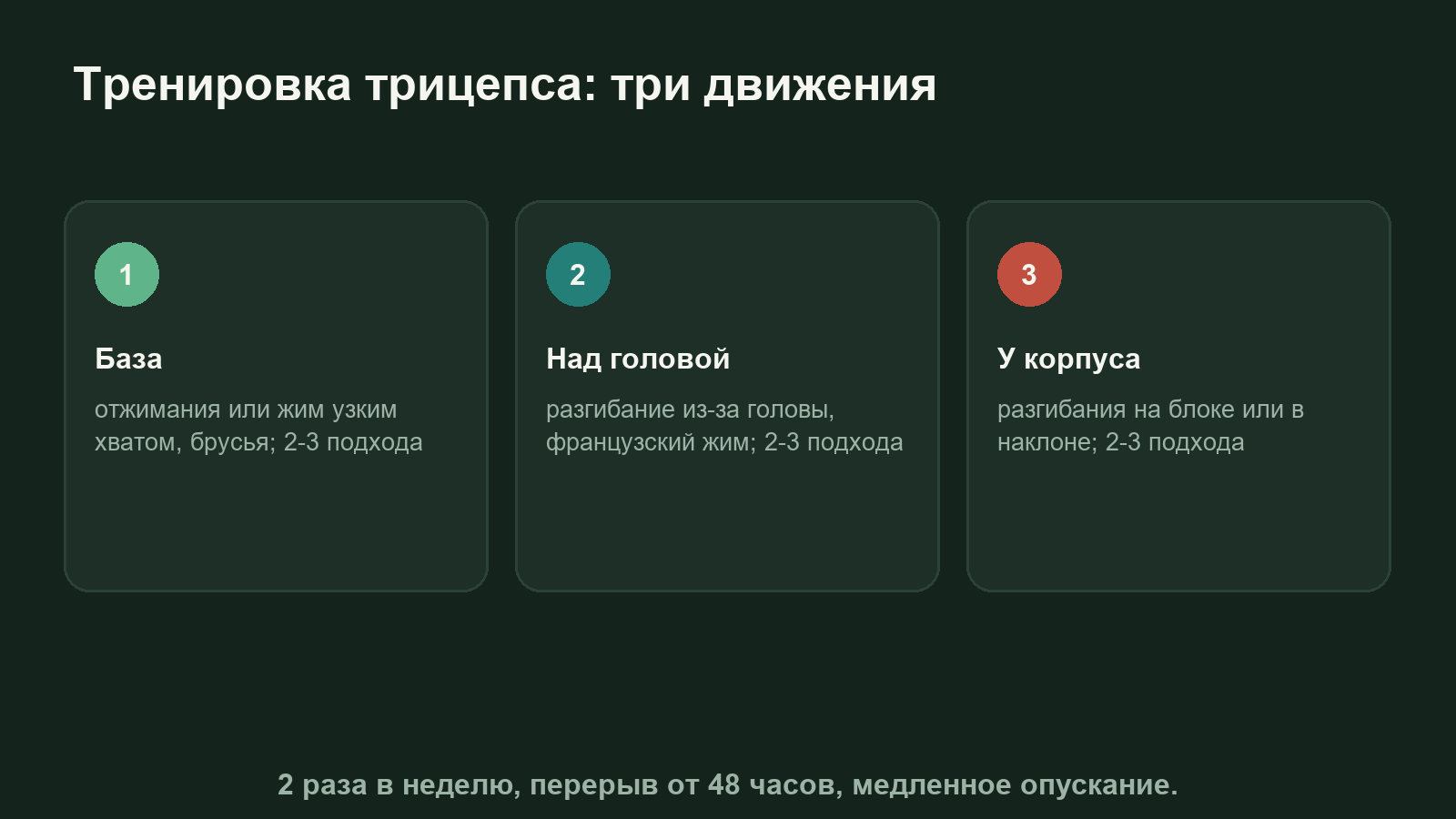 Схема тренировки трицепса: базовое движение, разгибание над головой и разгибание у корпуса